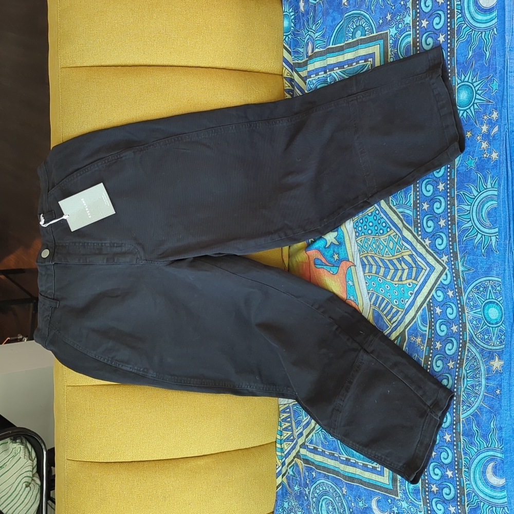 Everlane The Utility Barrel Pants